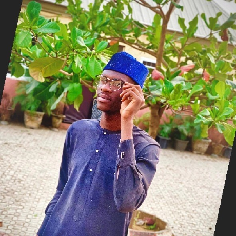 Ibrahim Aminu - Fullstack Engineer